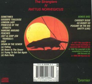 IV Rattus Norvegicus